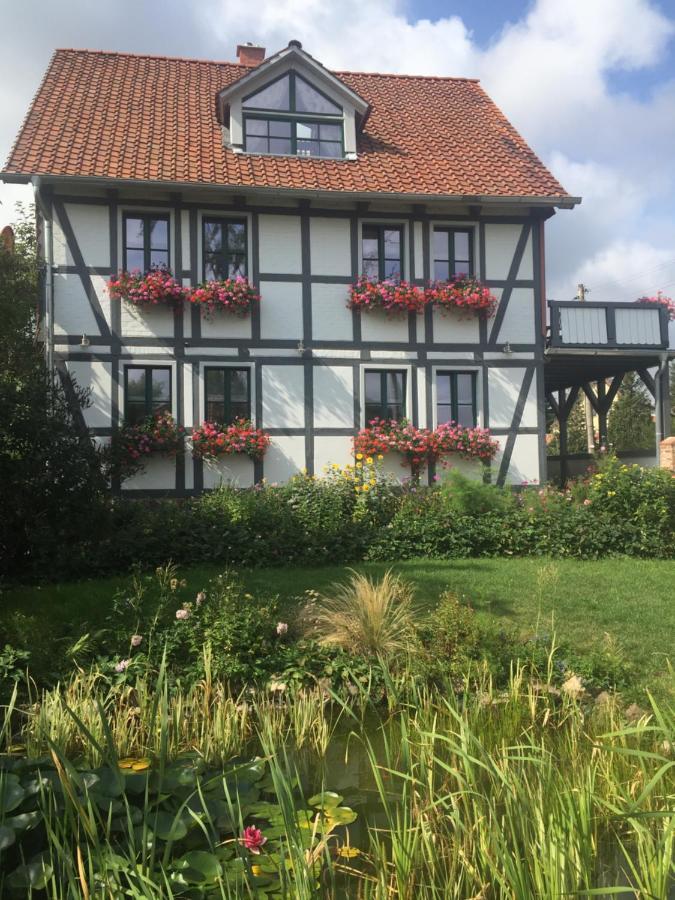 Schoene Gemuetliche Ferienwohnung Mit Kamin II Im Harz Darlingerode Exteriör bild