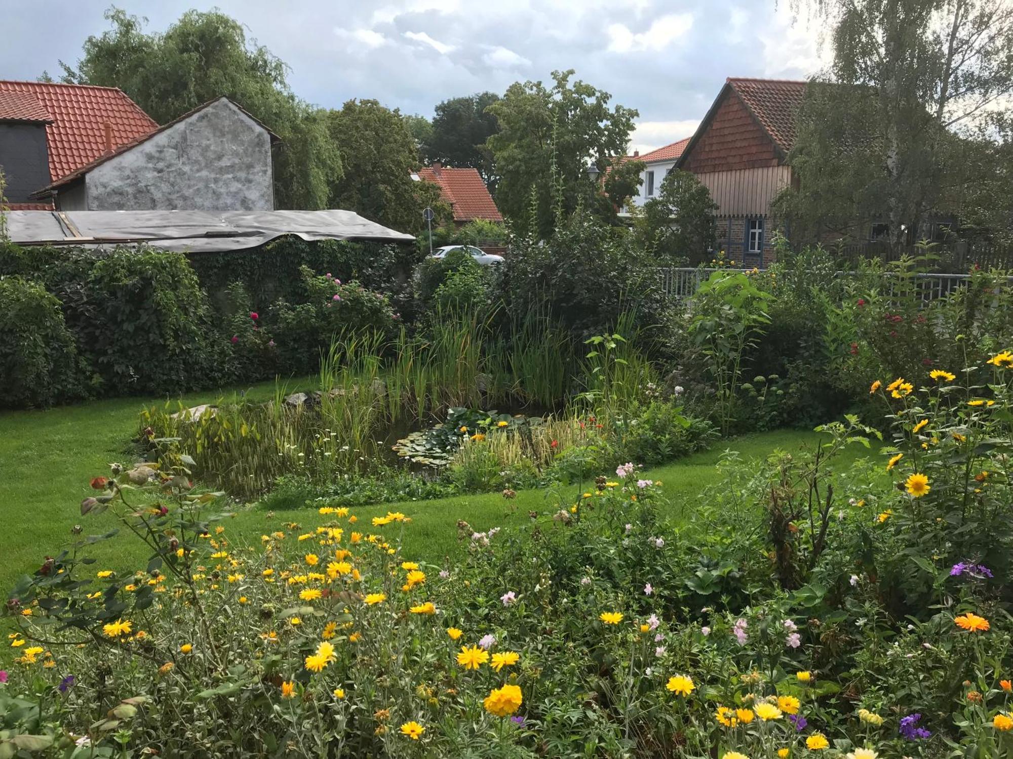 Schoene Gemuetliche Ferienwohnung Mit Kamin II Im Harz Darlingerode Exteriör bild